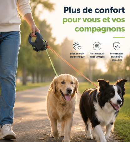 Laisse Double Chien Rétractable