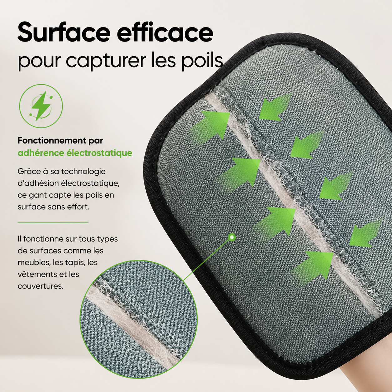 Gant Attrape Poils Chien & Chat