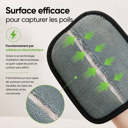 Gant Attrape Poils Chien & Chat
