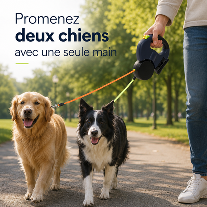 Laisse Double Chien Rétractable