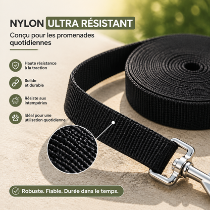Détail du nylon ultra résistant d'une laisse chien DogLina
