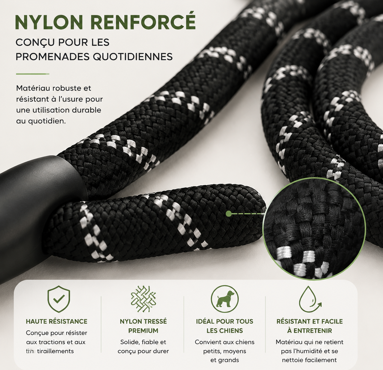 Nylon ultra résistant d'une laisse pour chien renforcée DogLina