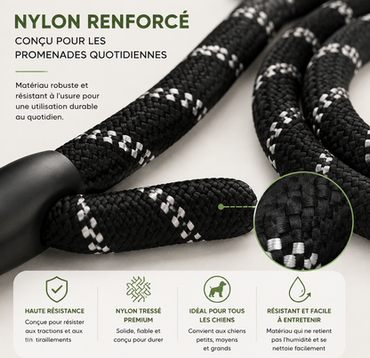 Nylon ultra résistant d'une laisse pour chien renforcée DogLina