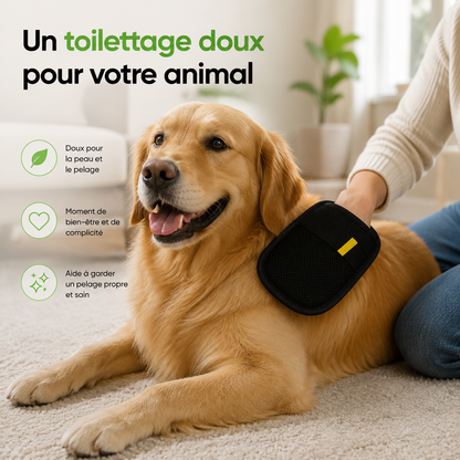 Gant Attrape Poils Chien & Chat