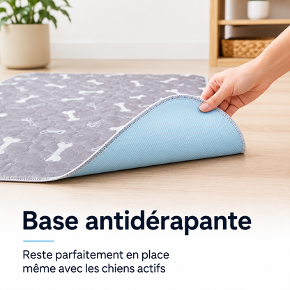 Tapis Hygiénique Lavable Chien