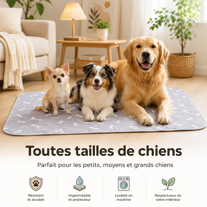 Tapis Hygiénique Lavable Chien
