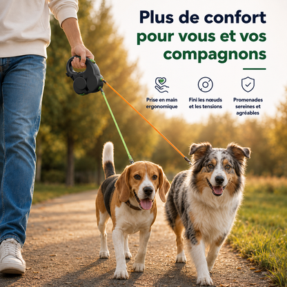 Promenade de deux chiens avec une laisse double rétractable noire à deux sorties indépendantes