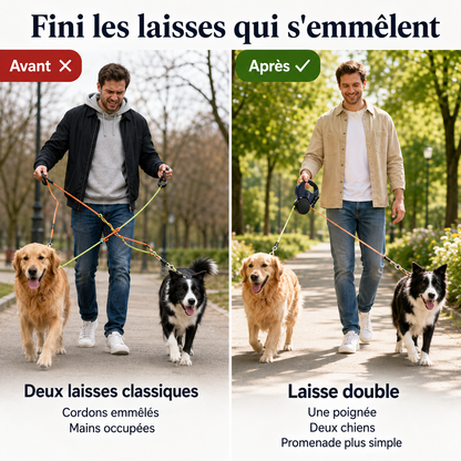 Laisse Double Chien Rétractable