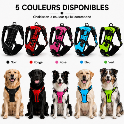 Harnais Anti-traction Chien