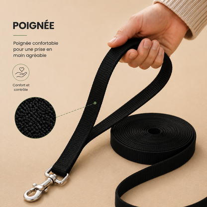 Poignée confortable de laisse chien nylon résistante DogLina