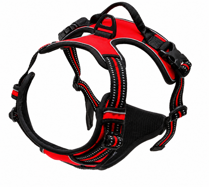 Harnais Anti-traction