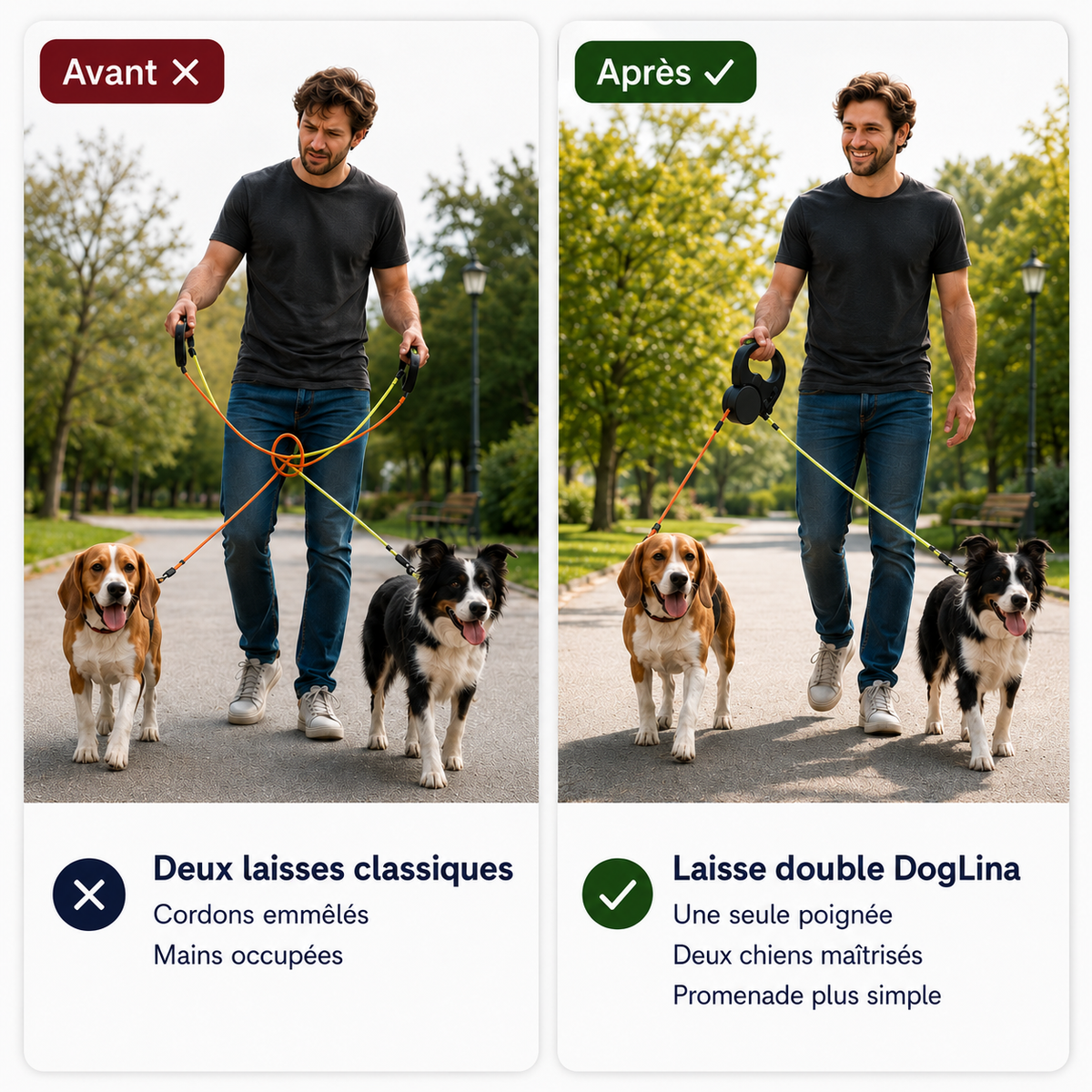 Comparaison entre deux laisses classiques emmêlées et une laisse double DogLina pour promener deux chiens avec une seule poignée
