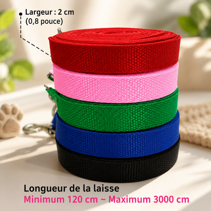 Laisse Classique